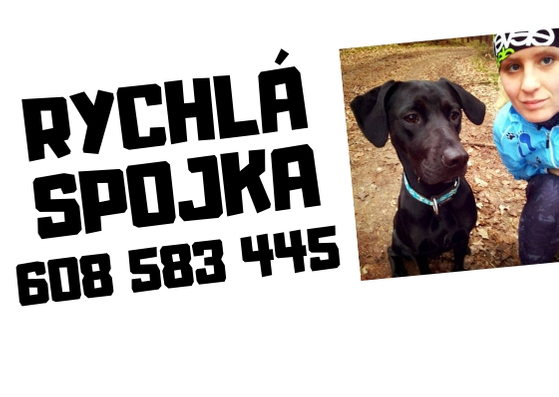 Rychlá spojka Rychlá spojka